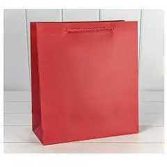 Сумка подарочная "Фактура-890" Красный 18*23*10см, фото №1