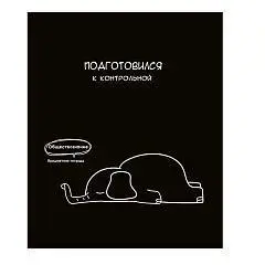 Тетрадь предметная 48л «Подслушано» Обществознание, тиснение хол, фото №1