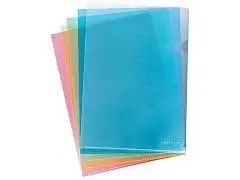 Папка-уголок EK Clear Standard/Glossy Classic, А4, ассорти, фото №1
