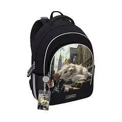 Ранец EK с грудной перемычкой  ErgoLine® 15L Big City Cats, фото №1