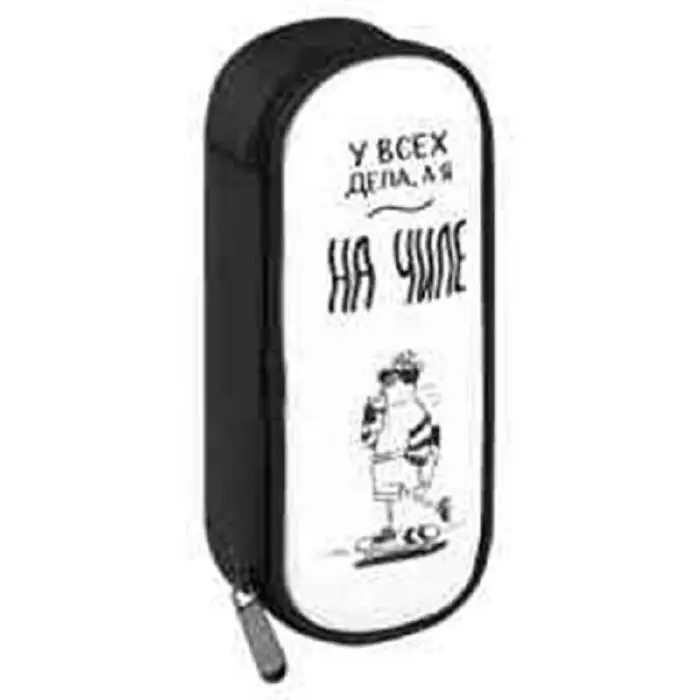 Пенал школьный "Голубь на чиле" б/наполн иск/кожа молния 20.5х7., фото №1