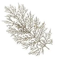 Изделие декоративное "Ветка", L26 W1 H70 см, фото №1