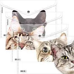Папка на кнопке EK Hiding Cats, A4, ассорти, фото №1
