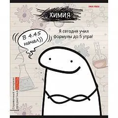 Тетрадь предметная 48л «Школьные мемасики» Химия, фото №1