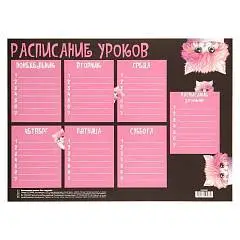 Расписание уроков "Кот в кружке" А4, фото №1