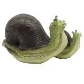 Детальное фото