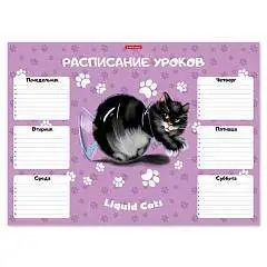 Расписание уроков ErichKrause Жидкие коты, А3, фото №1