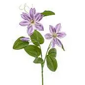 Детальное фото