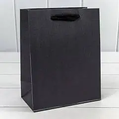Сумка подарочная Крафт "Люкс" Чёрный 18*23*10см, фото №1