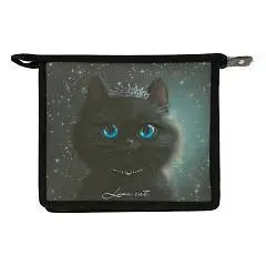 Папка д/тетр А5 пластик молния 500мкм  Принцесса Феникс, фото №1