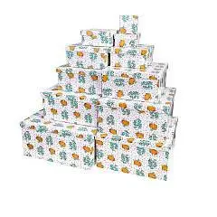 Коробка подарочная "Капибара" 18 х 18 х 9 см 11-7, фото №1