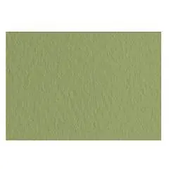 Бумага для пастели «Тициан» 160г A4 21*29.7см 1шт Оливковый, фото №1