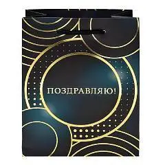 Сумка подарочная "Круги" 18х23х10 см  тис.фол., фото №1