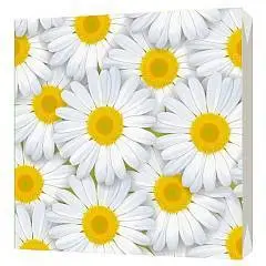 Салфетки BG "Цветы" Ромашки 33*33 3сл, фото №1