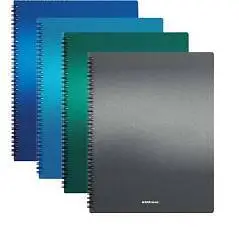 Папка с 20 вкладышами, на спирали, EK Ice Metallic, A4, ассорти, фото №1