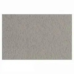 Бумага для пастели «Тициан» 160г A4 21*29.7см 1шт Серый тёплый, фото №1