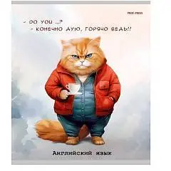 Тетрадь предметная 48л «Жил был кот» Английский язык, фото №1
