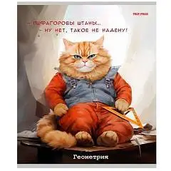 Тетрадь предметная 48л «Жил был кот» Геометрия, фото №1