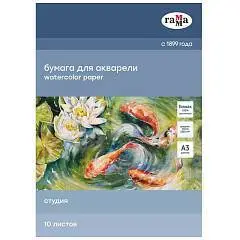 Папка для акварели А3 10л Гамма Студия 200г/м среднее, фото №1