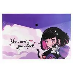 Папка д/тетрадей А4 Брюнетка на закате 1отд кнопка пластик, фото №1