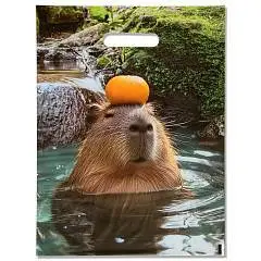 Пакет п/э "Капибара" 30 х 40 см, фото №1