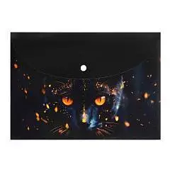 Папка на кнопке А4 Кот маг 1отд, пластик, фото №1