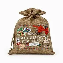 Мешок с термонаклейкой «Новогодняя посылка», 16?24 см, фото №1