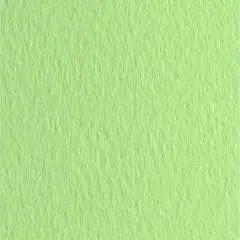 Бумага для пастели "Tiziano" 160г A4 21*29.7см 1шт Светло-зелен, фото №1