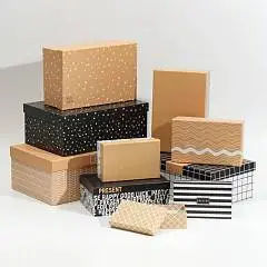 Коробка подарочная "Универсальная" 24 х 15.5 х 9.5 см 10-7, фото №1