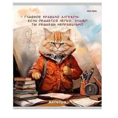 Тетрадь предметная 48л «Жил был кот» Алгебра, фото №1