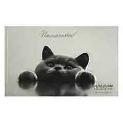 Альбом д/рис А4 40л "Британский кот" склейка, фото №1