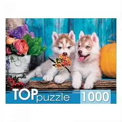 Пазлы 1000эл Два щенка хаски TOPpuzzle, фото №1