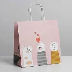 Сумка подарочная «Киса», 22 х 22 х 11 см, фото №1