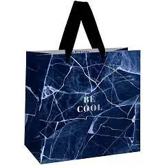 Сумка подарочная  "Lake"  фольга 20*20*10см, фото №1