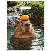 Детальное фото