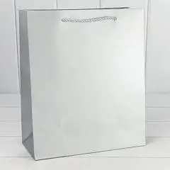 Сумка подарочная "Фактура-890" Серебряный 18*23*10см, фото №1