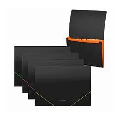 Папка с 12 отд. EK Matt Accent, A4, ассорти, фото №1