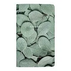 Блокнот д/записи иностр.слов "Botanica", эвкалипт популус, фото №1