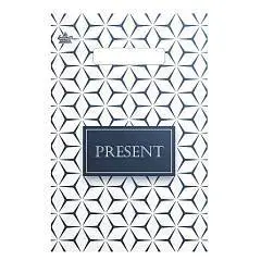 Пакет п/э "Презент стиль" 20х30см, фото №1