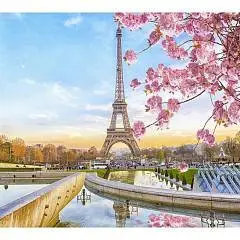 Алмаз мозаика блест 30*40см подр полн запол 30цв Цветен в Париже, фото №1