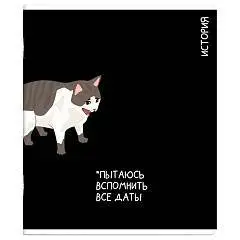 Тетрадь предметная 48л «КОТЫ МЕМЫ» ИСТОРИЯ, фото №1