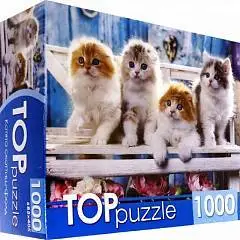 Пазлы 1000эл Котята скоттиш фолд TOPpuzzle, фото №1