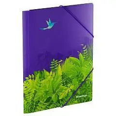 Папка на резинке Berlingo "Flower Art" А4, с рисунком, фото №1