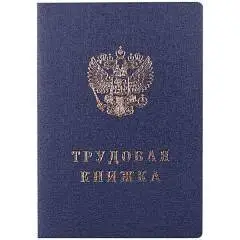 Трудовая книжка, фото №1