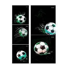 Тетрадь 48л КЛЕТКА "МЯЧ НА ЧЁРНОМ"  мел.обл, фото №1