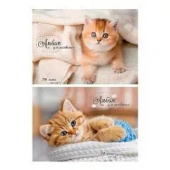 Альбом д/рис  А4 24л скоба "Рыжие котики", фото №1