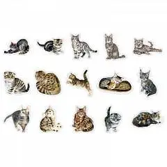 Наклейка декор CATS SPEAK MEOW набор 30шт, фото №1