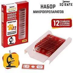 Набор для опытов «Набор микропрепаратов», животные, фото №1