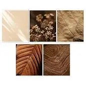 Детальное фото