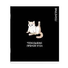 Тетрадь предметная 48л «КОТЫ МЕМЫ» ГЕОМЕТРИЯ, фото №1